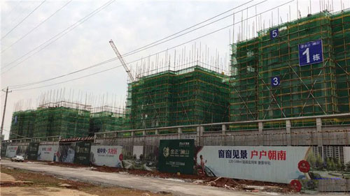 1695614356995497.jpg 11.jpg