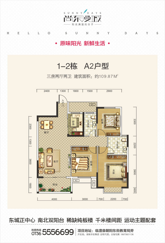 临澧尚东漫城A2户型 