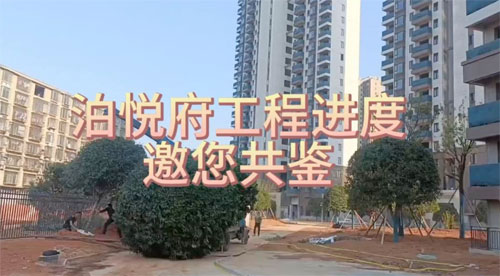 未标题-1.jpg