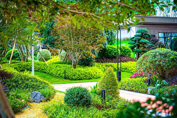 懂衡阳的都选这！悦莲湖，三甲旁+名校环伺，解锁幸福生活